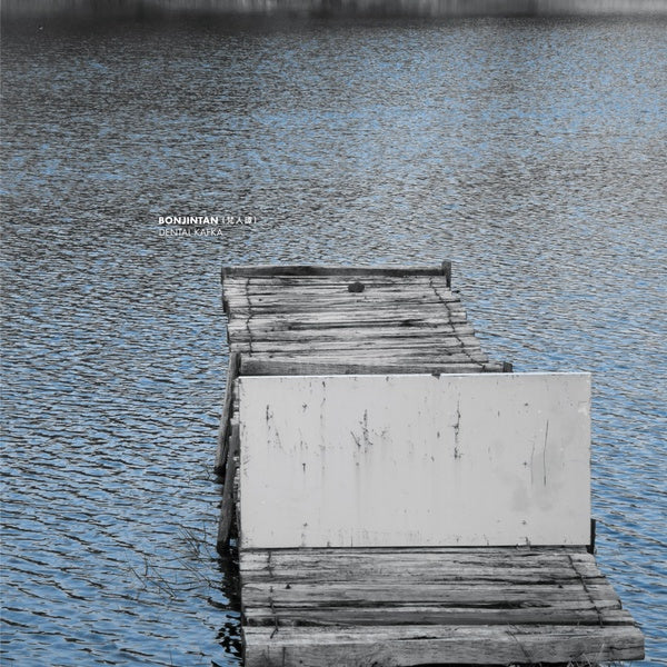 Dental Kafka (Vinyl)