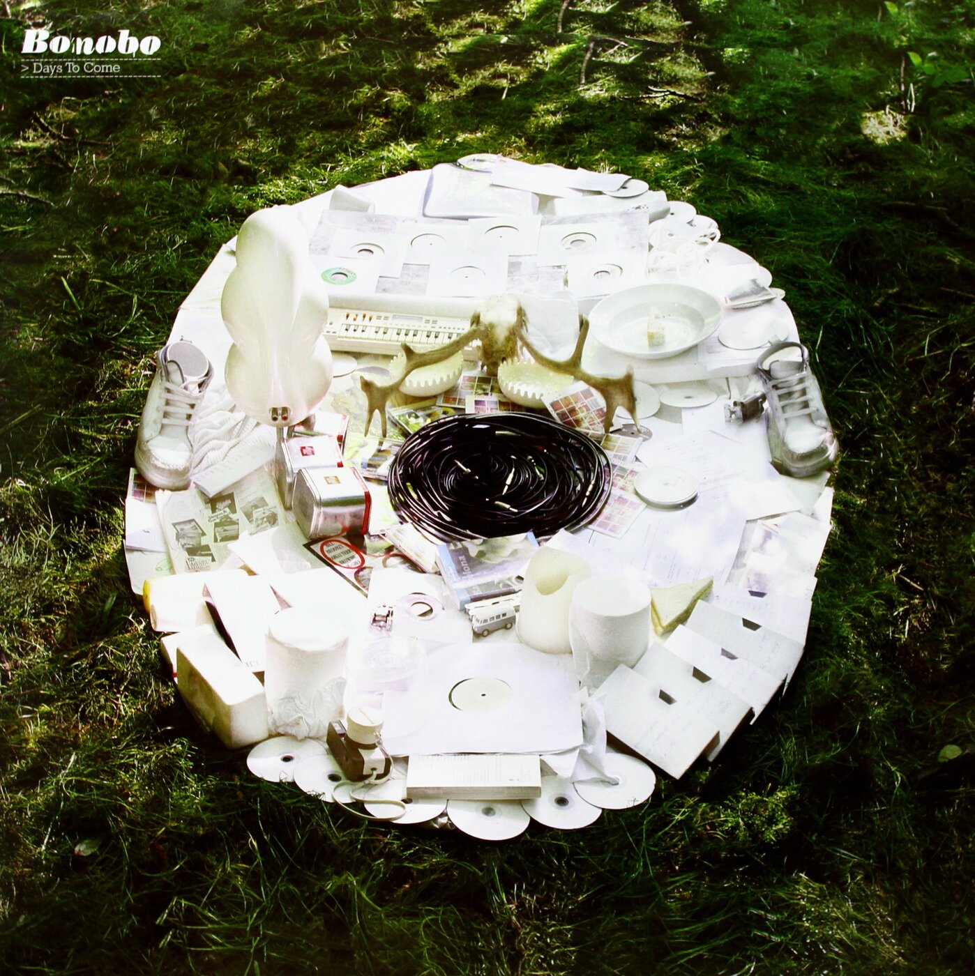 Days To Come (Vinyl)