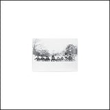 A Christmas Album (Translucent Red Colored Vinyl) (Vinyl)