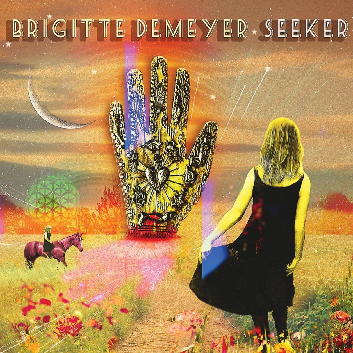 Brigitte DeMeyer Seeker [CD de música]