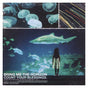 Bring Me The Horizon - Count Your Blessings [CD]