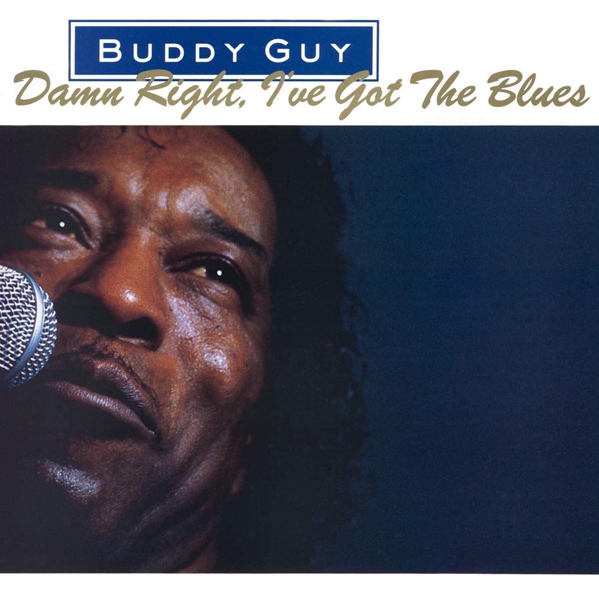 Buddy Guy Damn Right, I've Got The Blues (Vinilo de 180 gramos) [Importación] [Discos y LP]