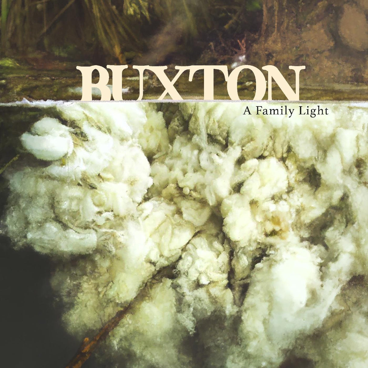 Buxton A Family Light [CD de música]