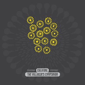 The Villager'S Companion (Indie Exclusive Firework Shimmer Vinyl) [Vinyl]