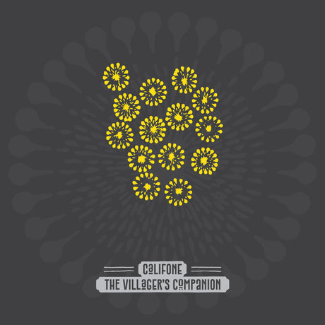 The Villager'S Companion (Indie Exclusive Firework Shimmer Vinyl) [Vinyl]