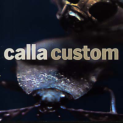 Custom (The Remix Project) (CD)