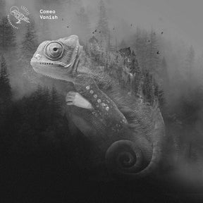 Vanish (Vinyl)