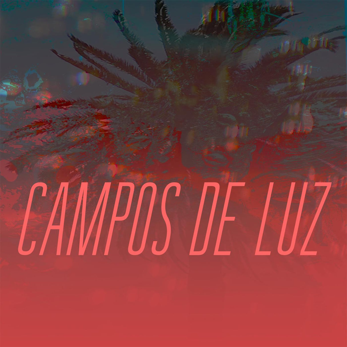 Campos de Luz Campos de Luz [Music CDs]