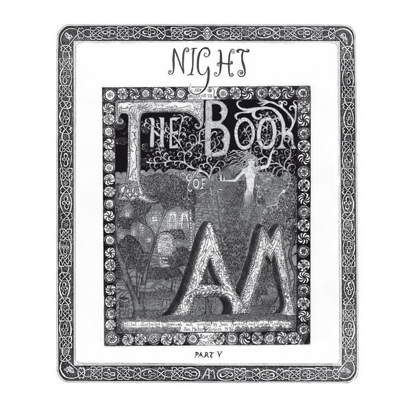 The Book of AM Part V: Night [Vinyl]