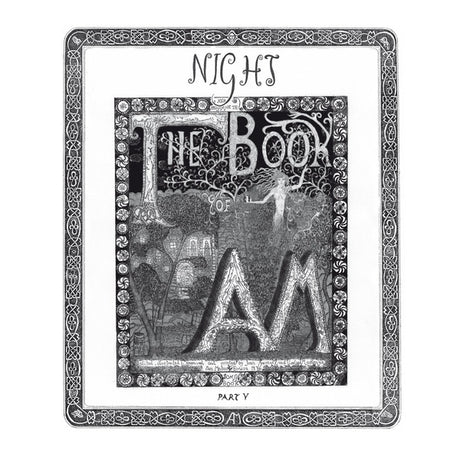 The Book of AM Part V: Night [Vinyl]