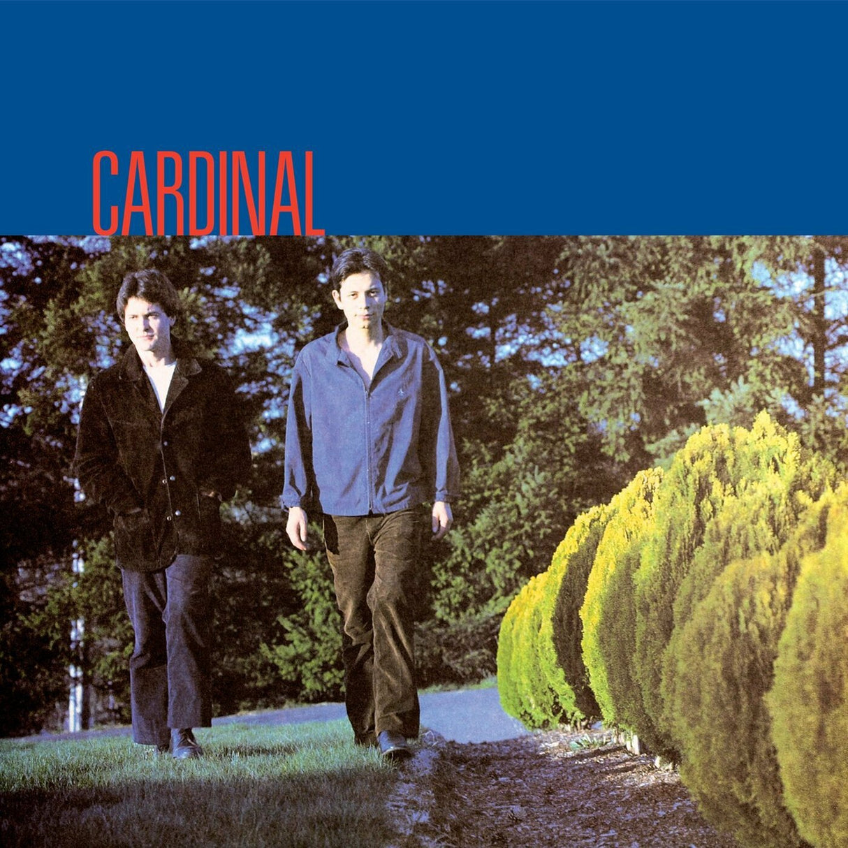 Cardinal (CD)