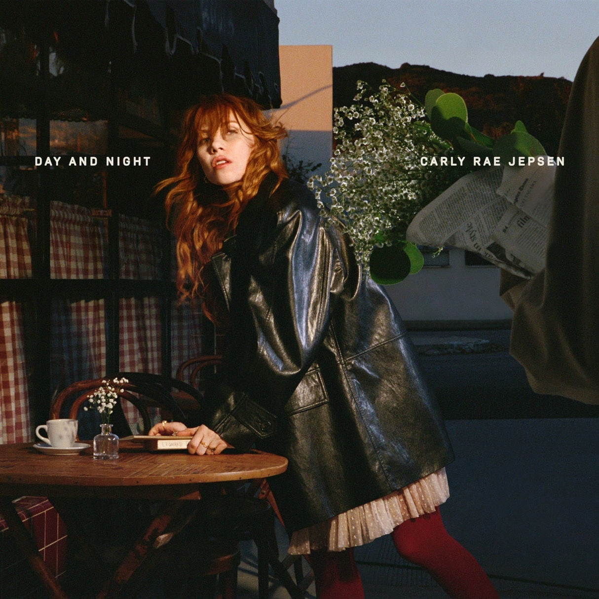 Carly Rae Jepsen - Day And Night [CD]