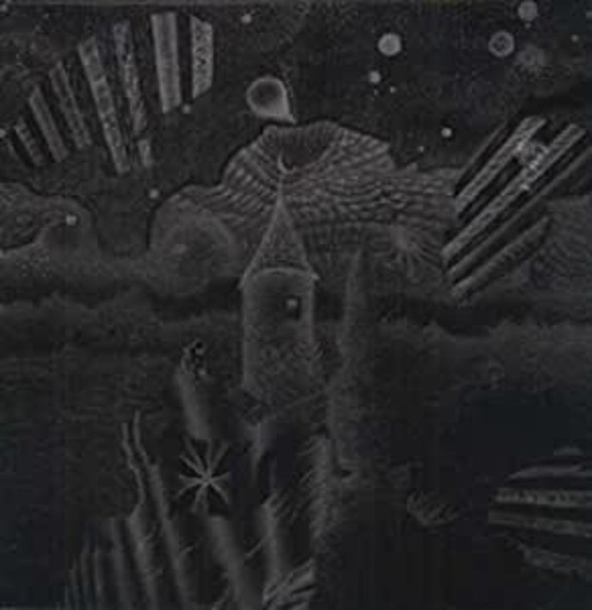 CELER - I, Anatomy [Vinyl]