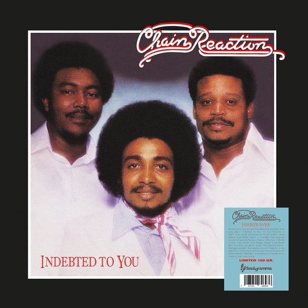 Indebted To You (Vinyl) - Apocalypse Vinyl