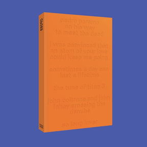 A Common Misunderstanding of the Speed of Light [Book]