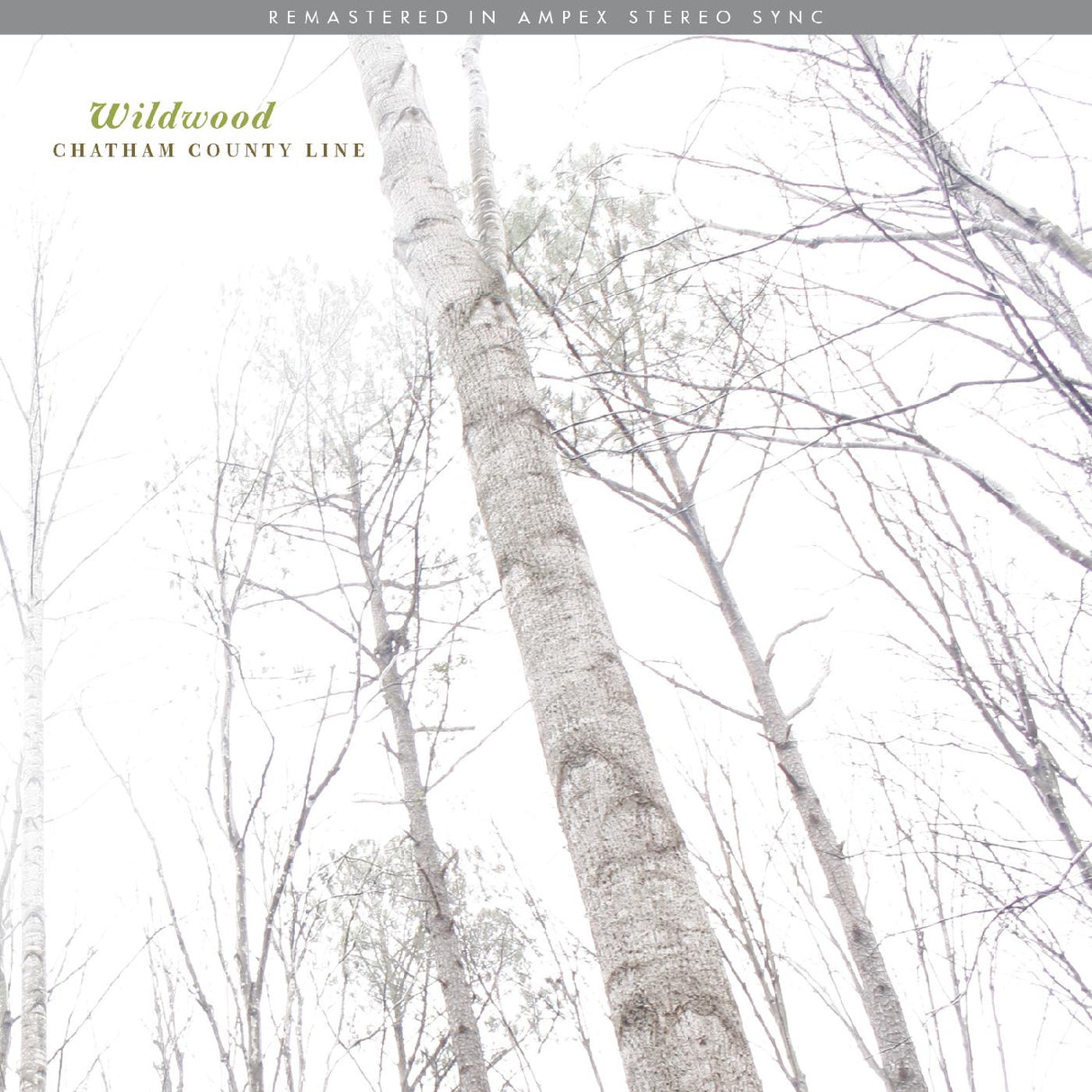 Wildwood (Remastered) (Vinyl) - Apocalypse Vinyl