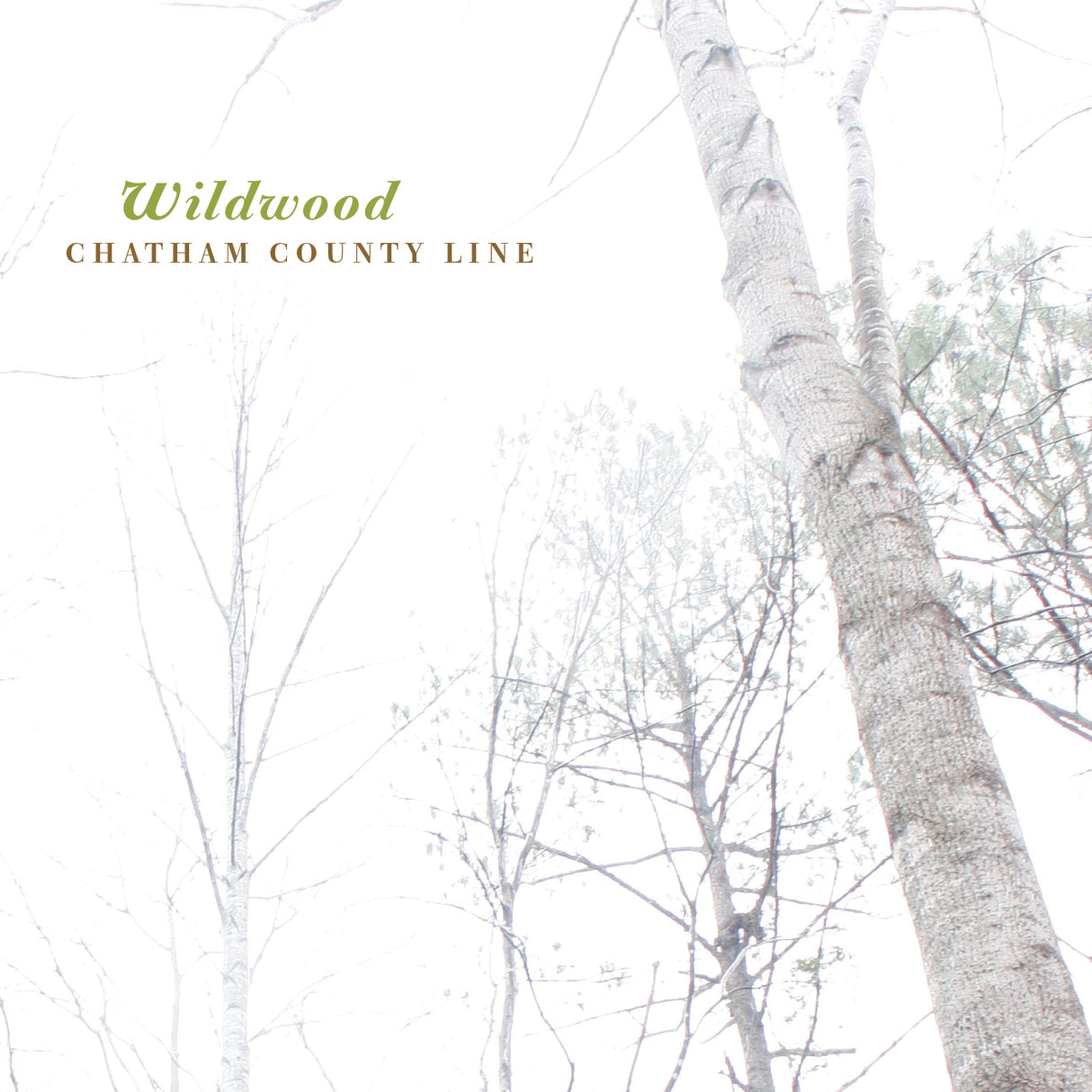 Wildwood (CD)