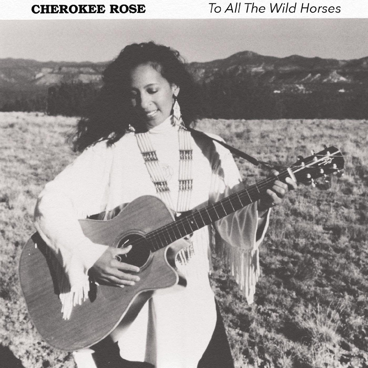 To All The Wild Horses (CD)