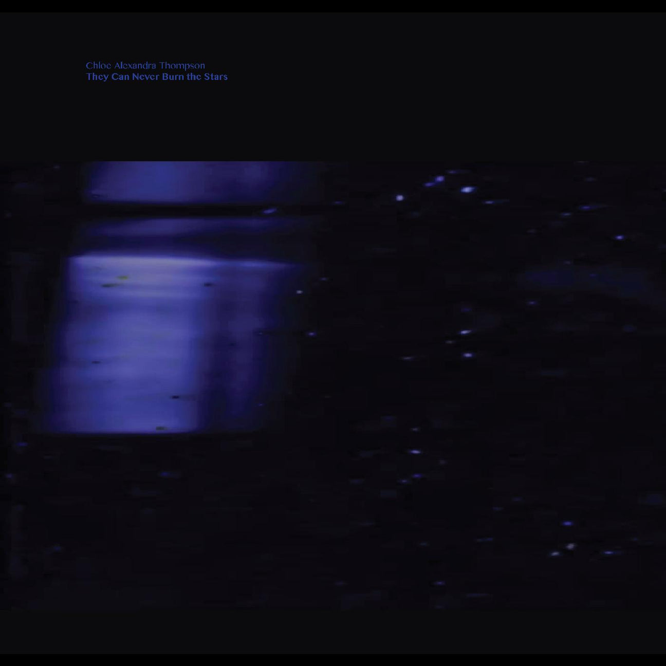 They Will Never Burn The Stars (Vinyl) - Apocalypse Vinyl