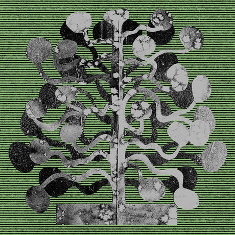 Yucca (Vinyl) - Apocalypse Vinyl