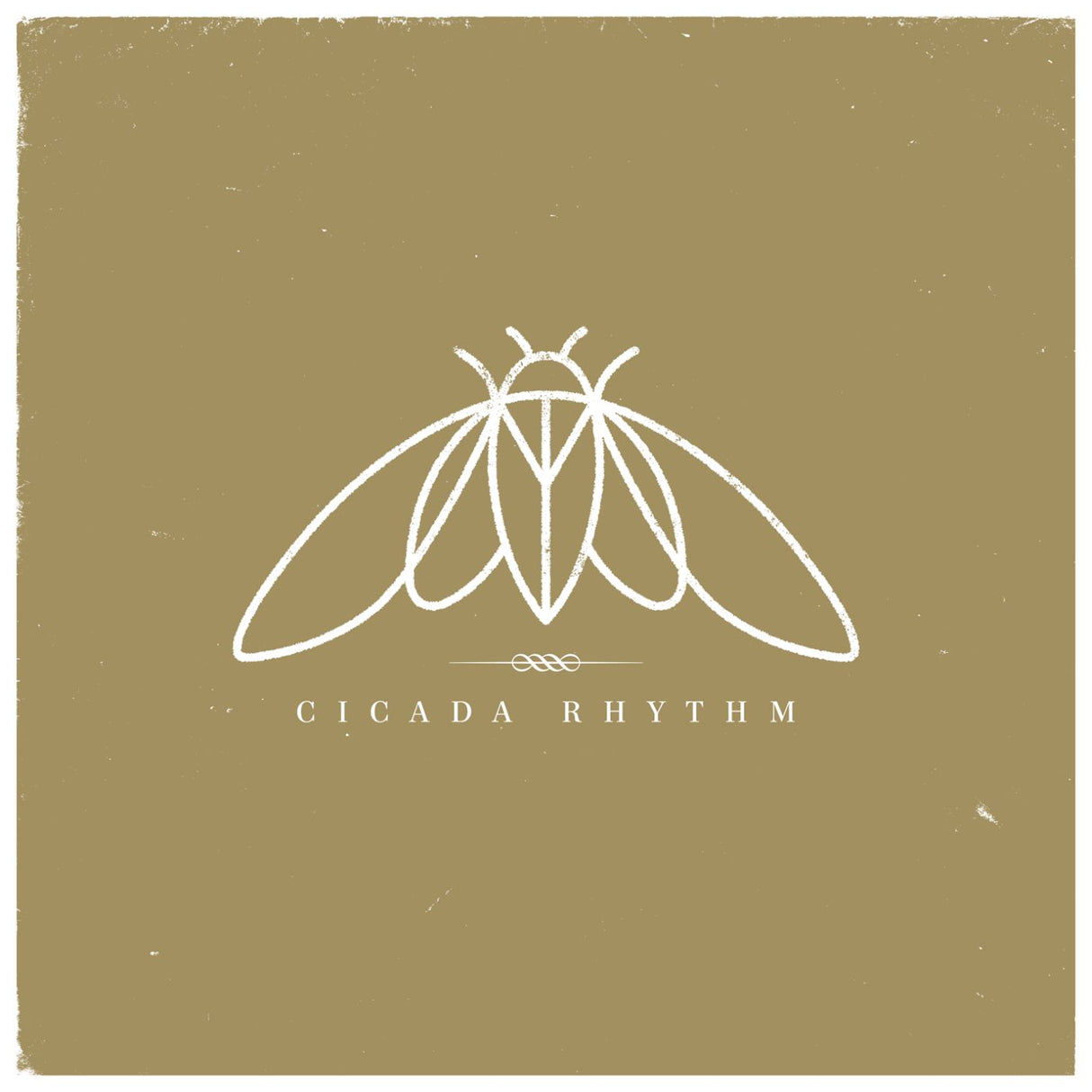 Cicada Rhythm Cicada Rhythm [Records & LPs]