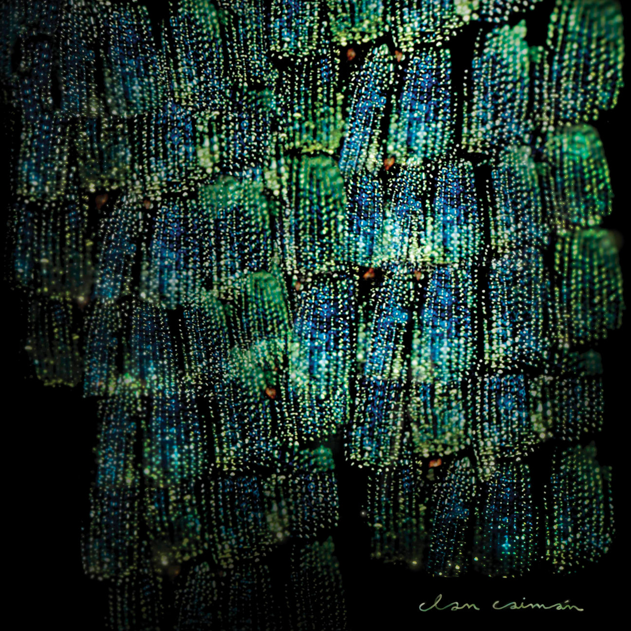 Asoma (Vinyl)