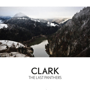 The Last Panthers (Vinyl) - Apocalypse Vinyl