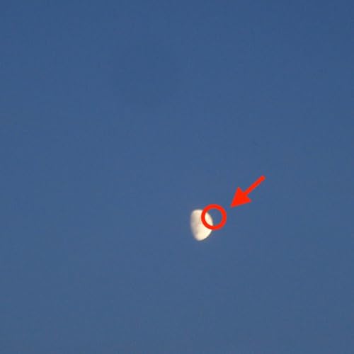 Fake Moon (CD)