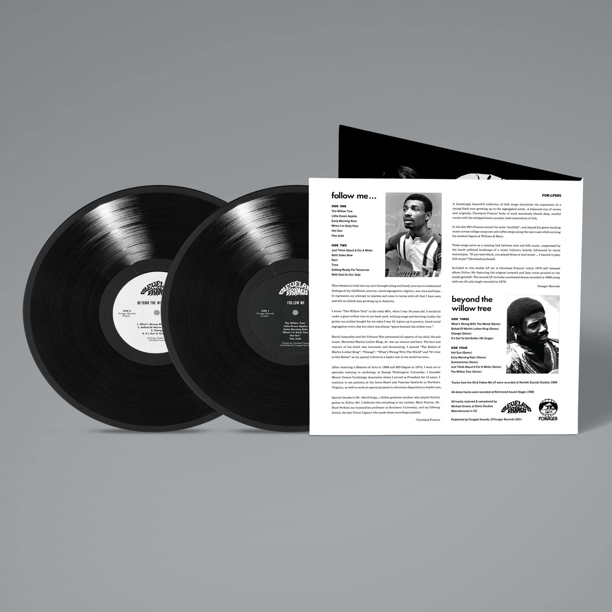 Beyond The Willow Tree (Vinyl)