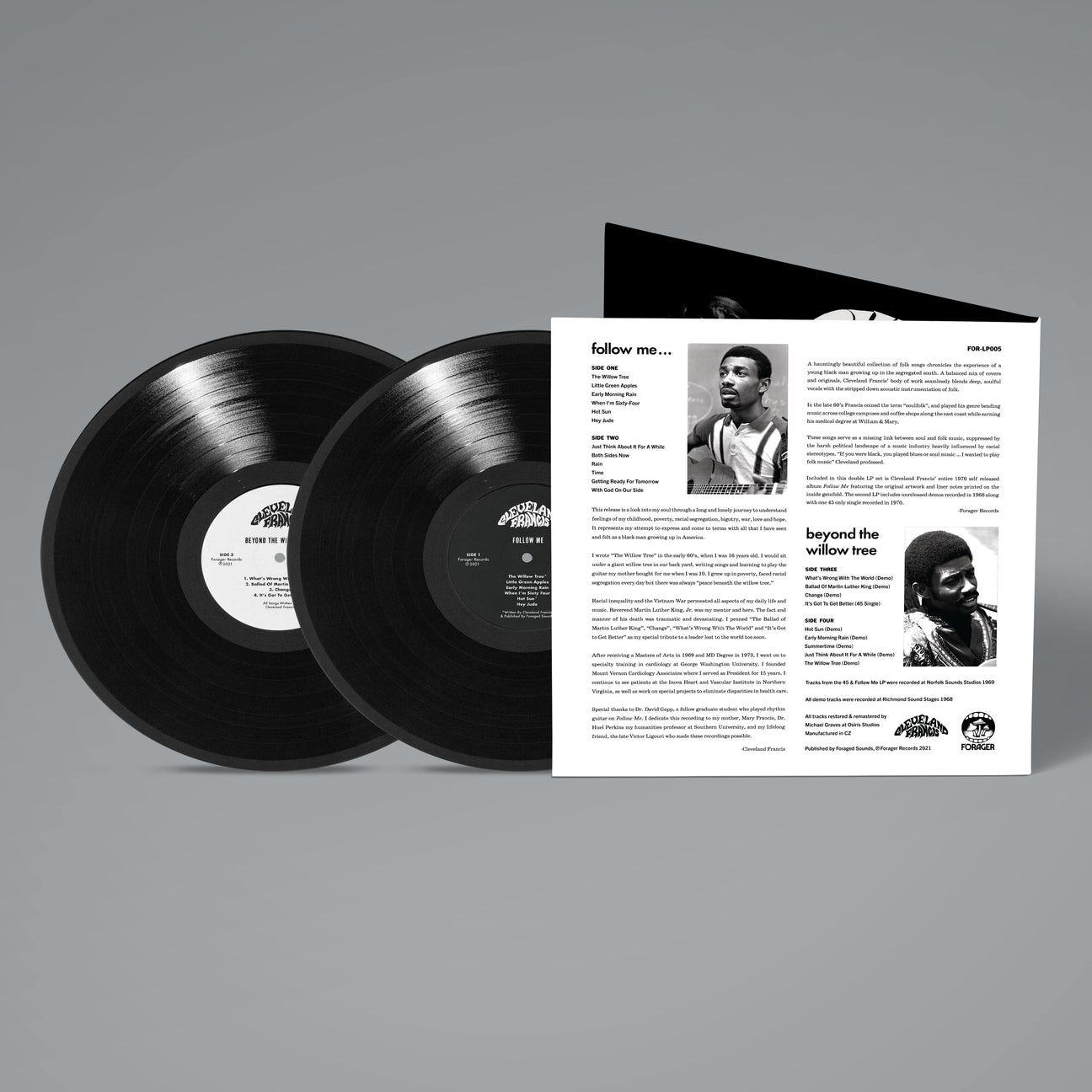 Beyond The Willow Tree (Vinyl)