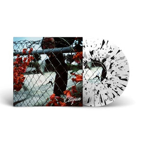 In Lives That Won'T Last (Vinyl)