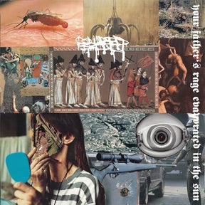Your Father'S Rage Evaporated In The Sun (Vinyl)