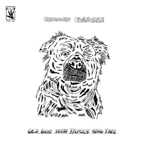 Old Dog New Tricks Who This (Vinyl) - Apocalypse Vinyl