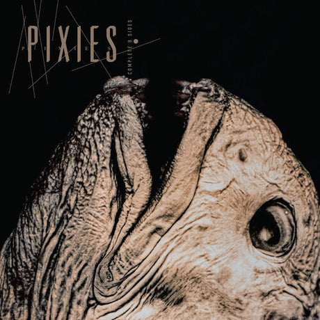 Pixies - Complete B Sides: 1988-97 - INDIE EXCLUSIVE, CLEAR VINYL [Vinyl]