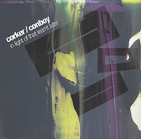 In Light Of That Learnt Later [Vinyl]