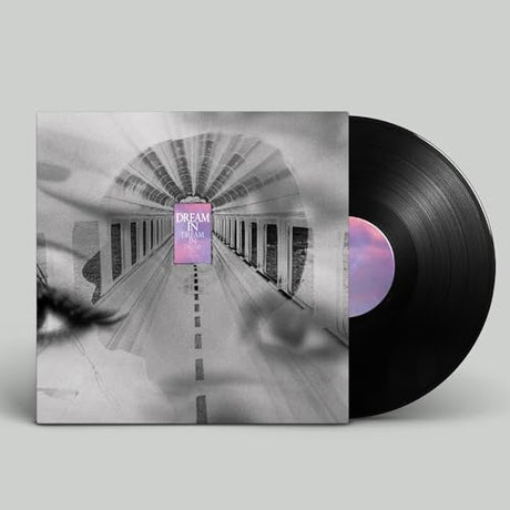 Dream In Dream (Vinyl)