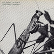 Creature Of Habit (Indie Exclusive Caramel Vinyl) [Vinyl]