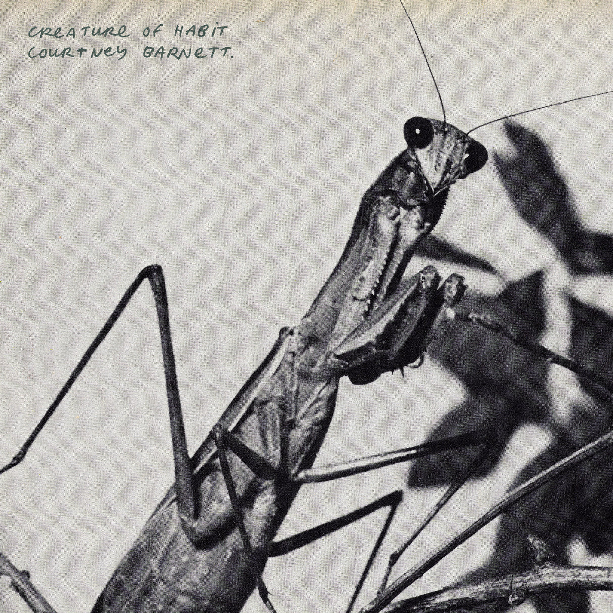 Creature Of Habit (Indie Exclusive Caramel Vinyl) [Vinyl]