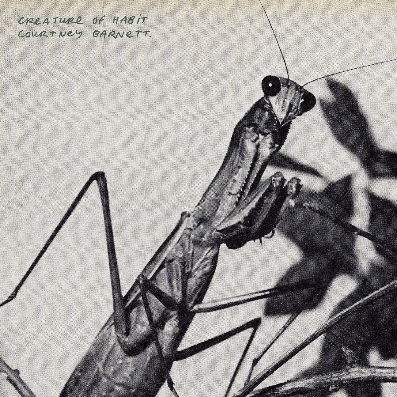 Creature Of Habit (Indie Exclusive Caramel Vinyl) [Vinyl]