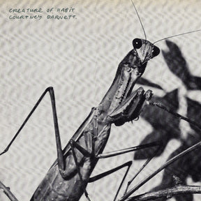Creature Of Habit (Indie Exclusive Caramel Vinyl) [Vinyl]