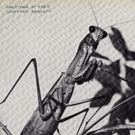 Creature Of Habit [Vinyl]