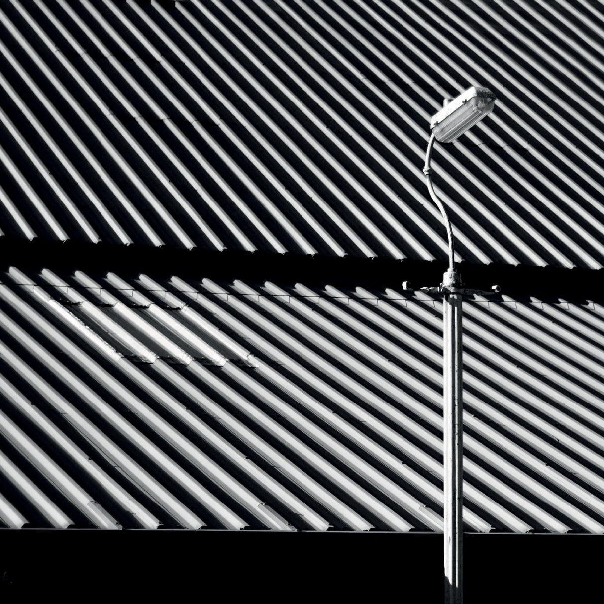 Erratics & Unconformities (Vinyl)