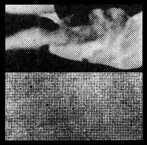 Creta (Vinyl) - Apocalypse Vinyl
