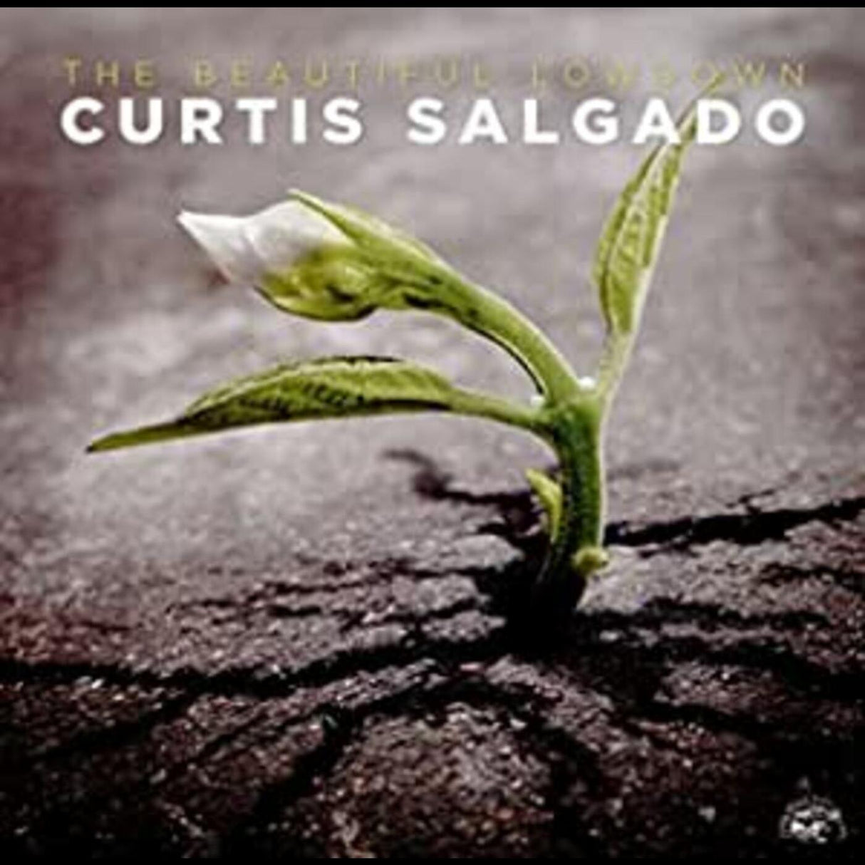 Curtis Salgado Beautiful Lowdown [音乐 CD]