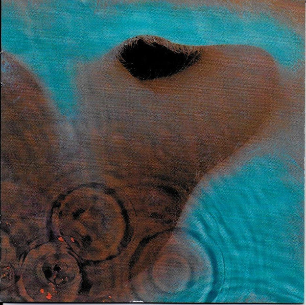 Meddle