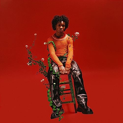 d4vd Petals To Thorns [Translucent Black Ice LP] [Vinyl]