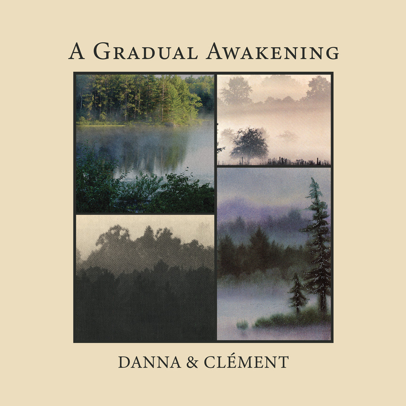 A Gradual Awakening (Vinyl)