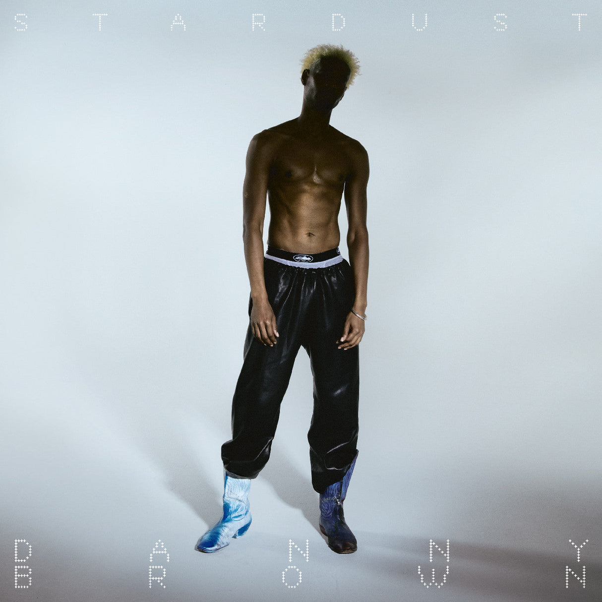 Stardust (White Vinyl) [Vinyl]