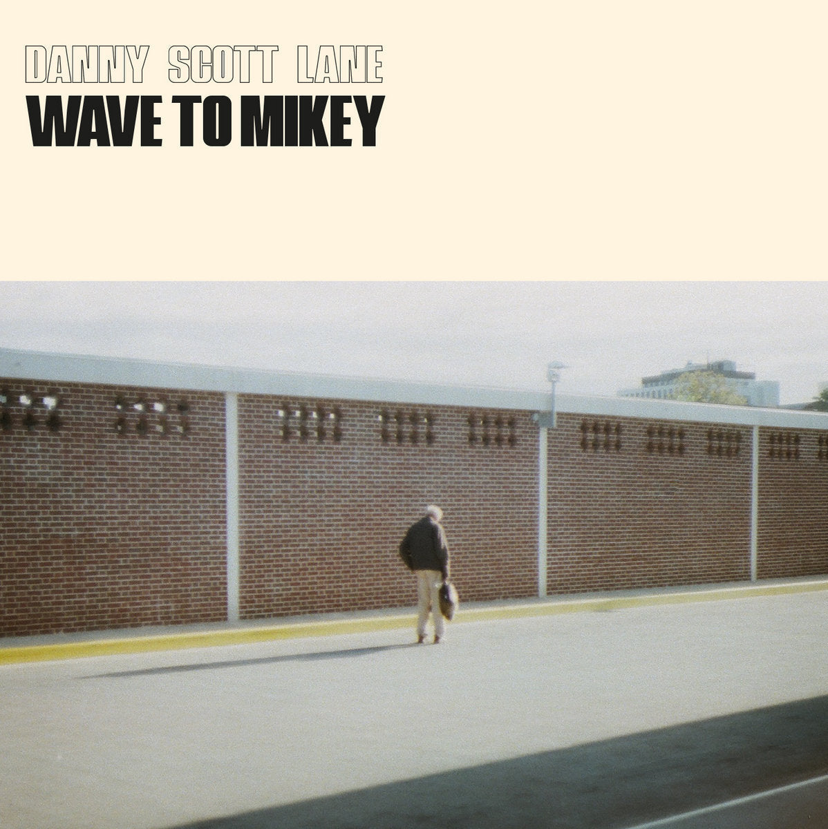 Wave To Mikey (Vinyl)