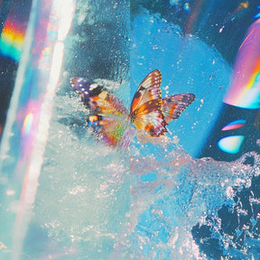 Daphni - Butterfly [CD] [CD]